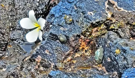 Photo of the Day: Celebration of Life